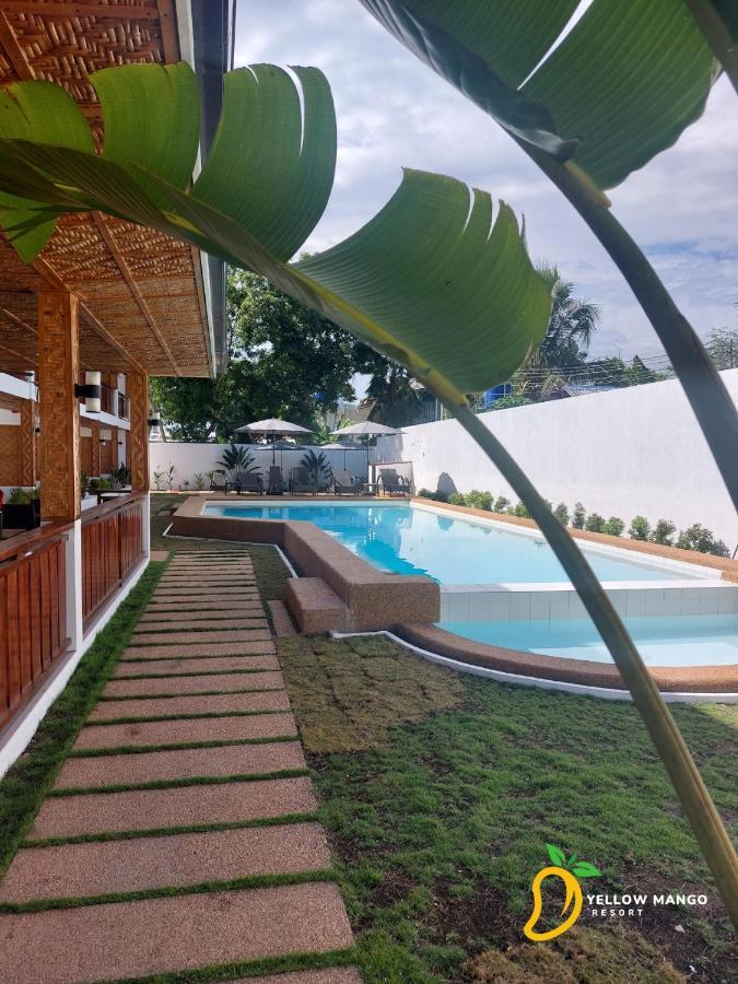 Yellow Mango Resort Bohol Panglao Island Exterior photo